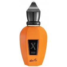 Xerjoff Duran Duran NeoRio Fluo Orange фото духи