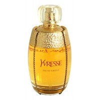 Yves Saint Laurent YSL Yvresse Legere