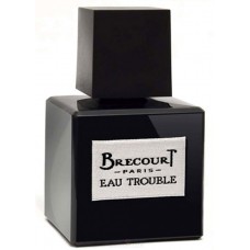 Brecourt Eau Trouble фото духи