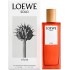 Loewe Solo  Atlas фото духи