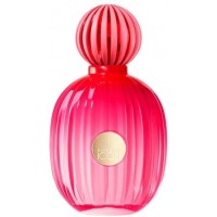 Banderas Antonio  The Icon For Women Banderas Antonio  The Icon For Women