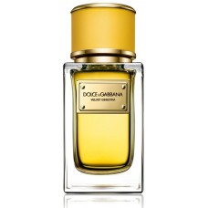 Dolce & Gabbana D&G Velvet Ginestra фото духи